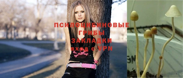 героин Алексин