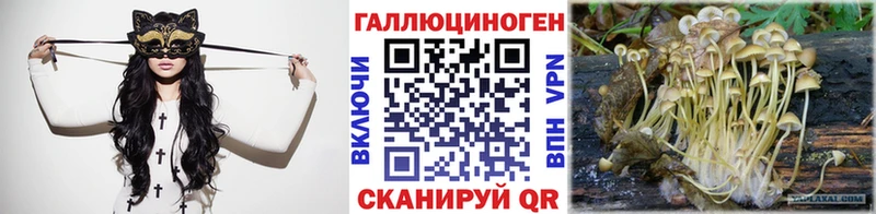 Псилоцибиновые грибы Psilocybe  сколько стоит  Дятьково 